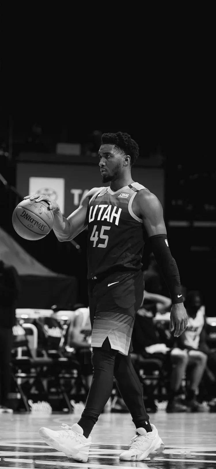 其未来发展 其未来发展