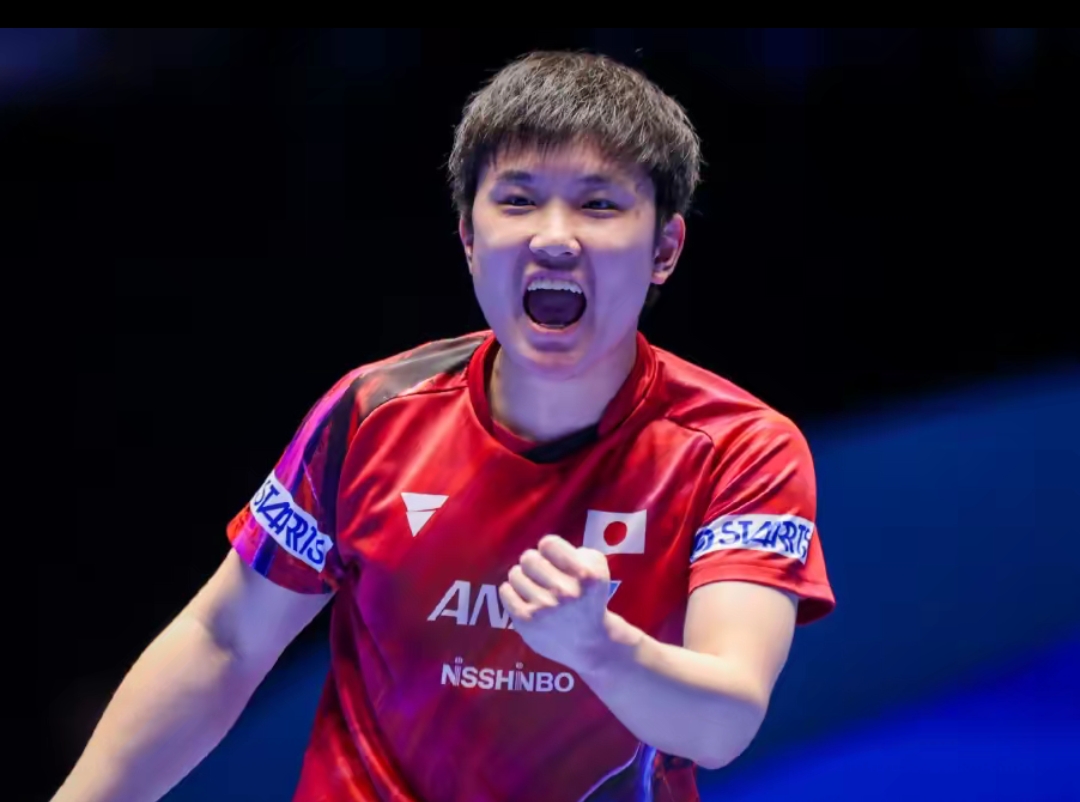 许多优秀的 许多优秀的